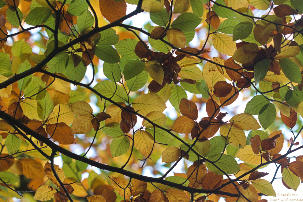 Herbst, 10.2024