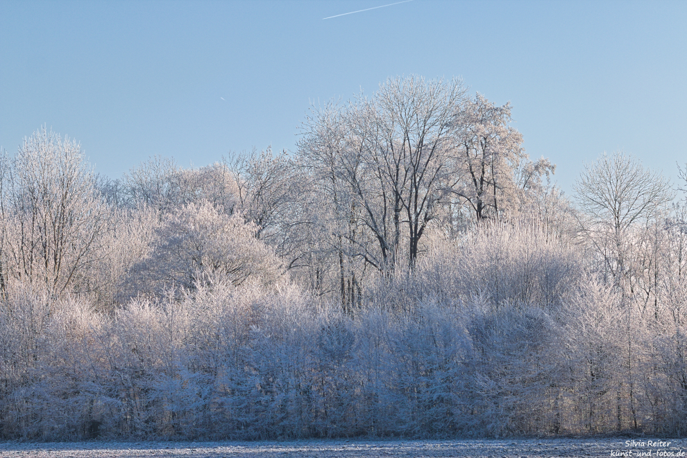 Winterlandschaft 12.2024